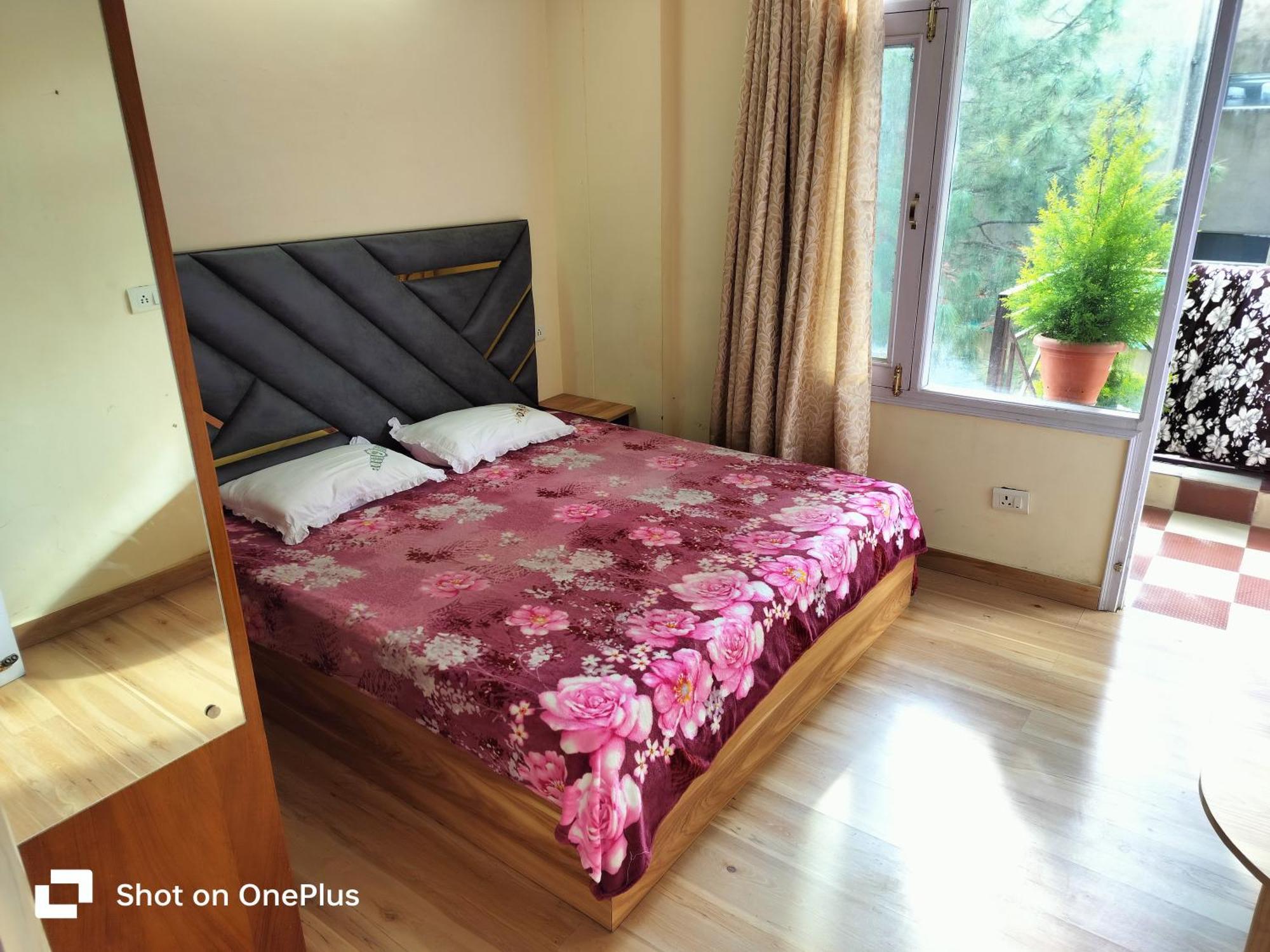 Shimla Vibes B & B Free Pick & Drop From Isbt 西姆拉 外观 照片