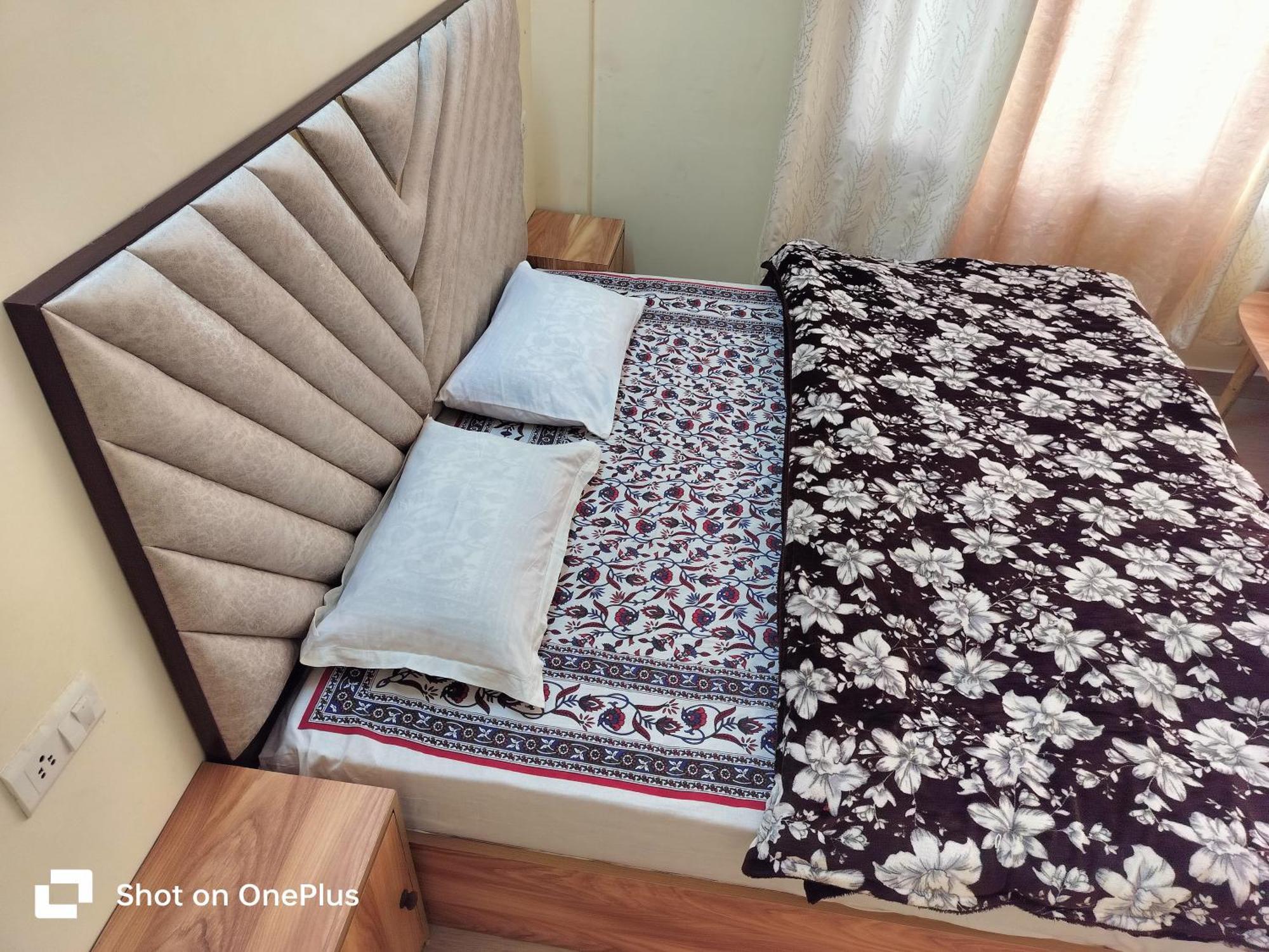 Shimla Vibes B & B Free Pick & Drop From Isbt 西姆拉 外观 照片