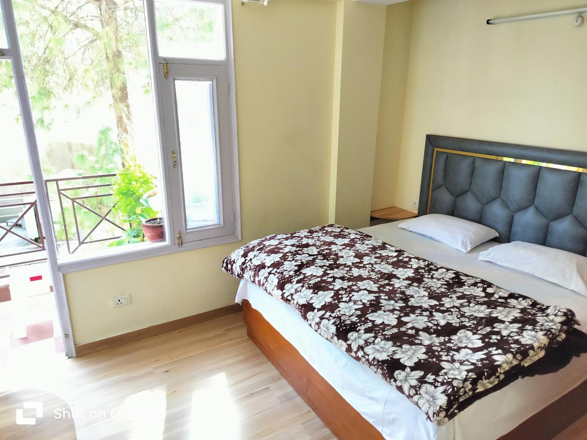 Shimla Vibes B & B Free Pick & Drop From Isbt 西姆拉 外观 照片